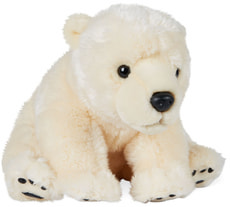 Orso bianco