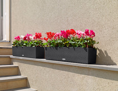 Balconera Cottage 80cm