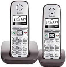 E310 Duo