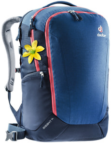 Gigant SL