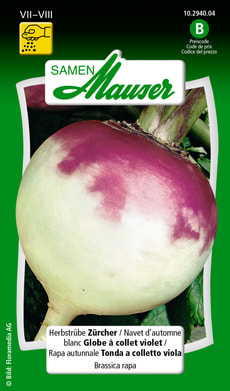 Herbstrübe Zürcher