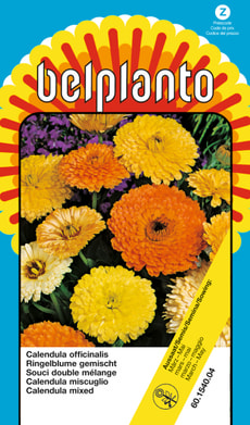 Calendula Mischung