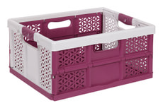 Profi Klappbox 32L