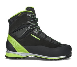 Alpine Pro GTX LE