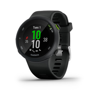 Forerunner 45