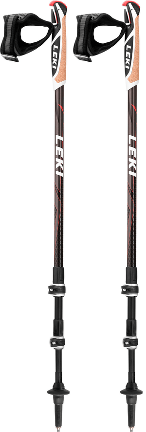 Nordic Walking Stock