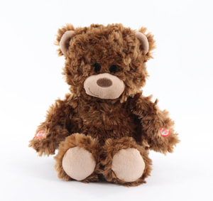 Sprechender Bär 30cm