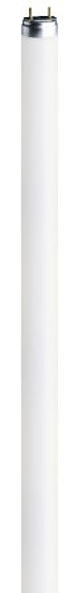 Röhre FL G5 13W 840