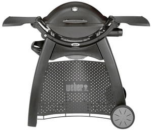 Gasgrill Q 2200 STATION