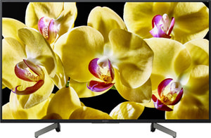KD-49XG8096 123 cm 4K Fernseher