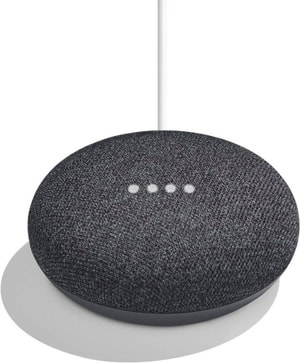 Nest Mini - Carbon