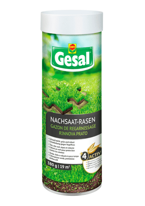 Nachsaat-Rasen, 380 g