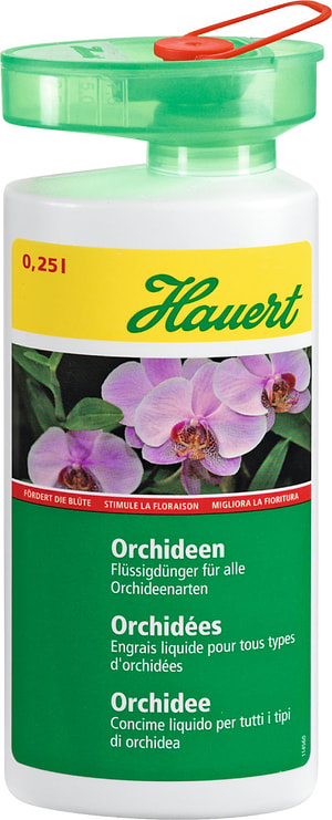 Orchideen, 0,25 l