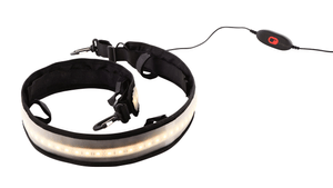 Corvus 1200