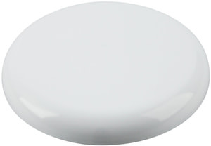 Rosetta di soffitto