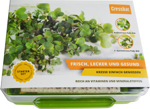 Cresspads Box verde