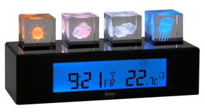 Wetterstation Emotion