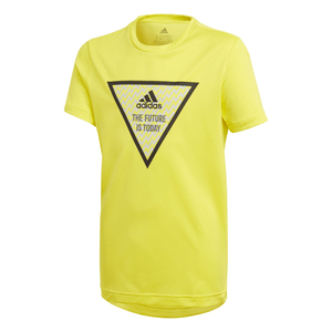 XFG TEE