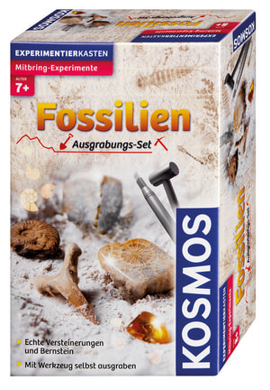 Fossilien - Ausgrabungs-Set (D)