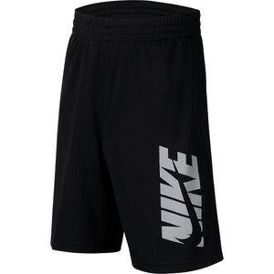 Dri-FIT Flex Shorts