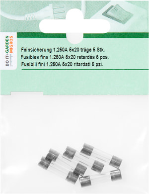 Feinsicherung 1.250A