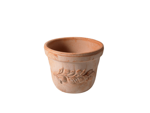Topf Terracotta OLIVE
