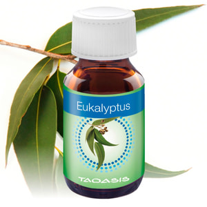 Eukalyptus 3x 50 ml