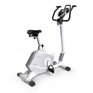 Ergo C6