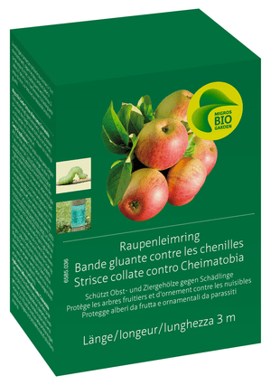 Raupenleimring, 3 m