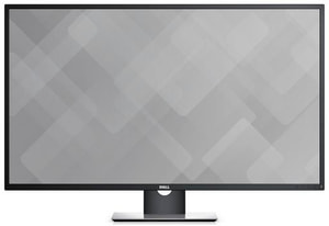 P4317Q 42,5"