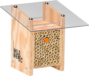 BeeHome