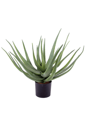Kunstpflanze Aloe
