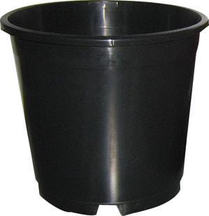Containertopf