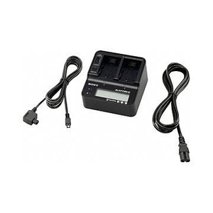 AC-VQV10 Double Charger