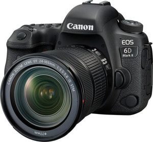 EOS 6D Mark II + EF 24-105mm