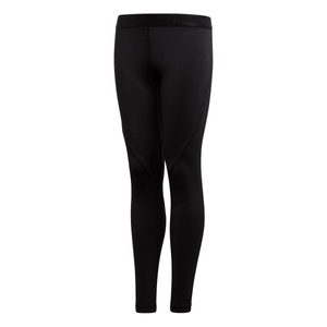 Training ALPHASKIN SPORT Long Tight