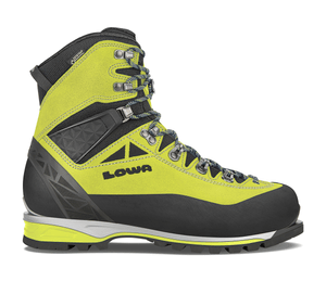 Alpine Expert GTX