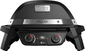 PULSE 2000