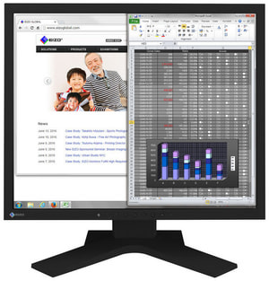 FlexScan S1934H 19" Monitor