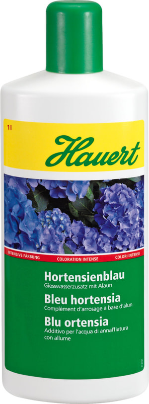 Blu ortensia, 1 l