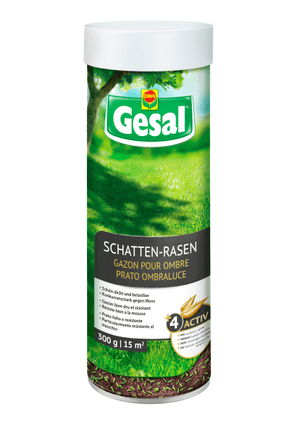 Schatten-Rasen, 300 g