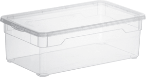 Clear Box Lady Shoe