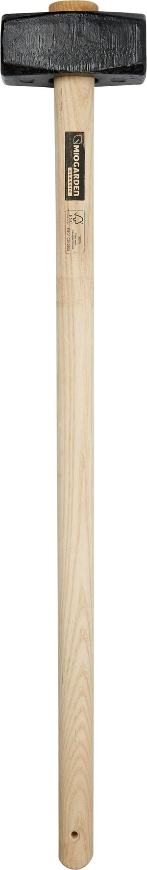 Schlegel