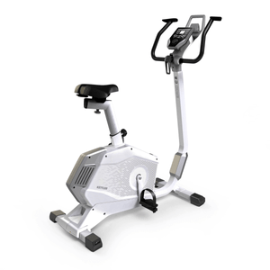 Ergo C8