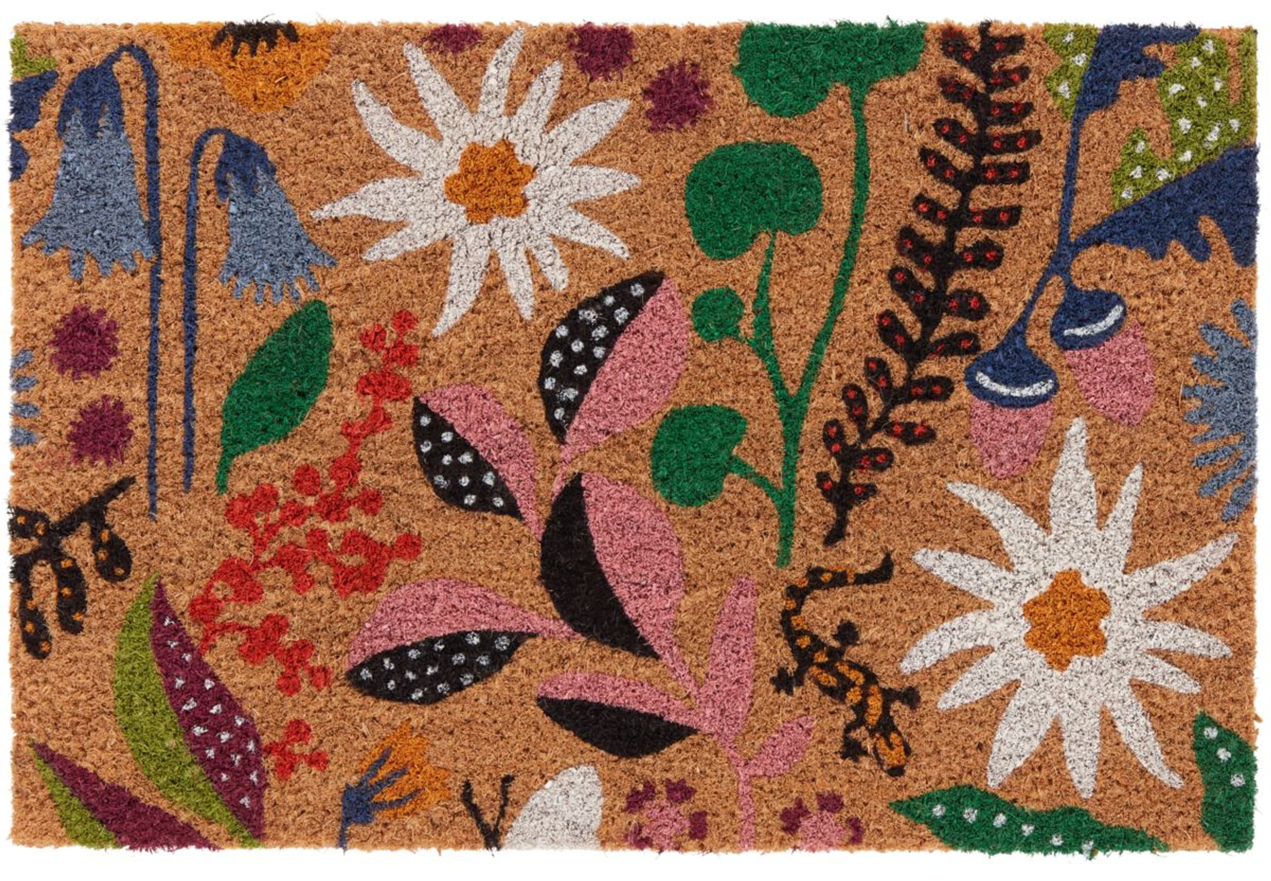 Paillasson FLURINA, Multicouleur, 40x60, Micasa