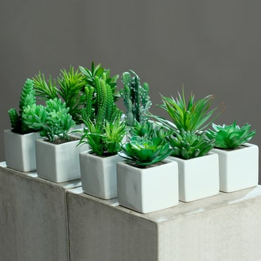 Do it + Garden Sukkulente Kunstpflanze - kaufen bei Do it + Garden