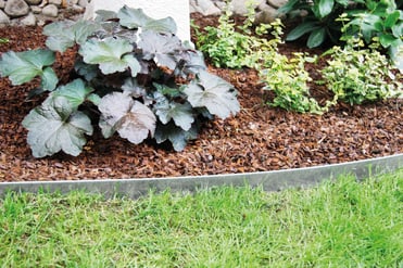 Rasenkante Metall - kaufen bei Do it + Garden