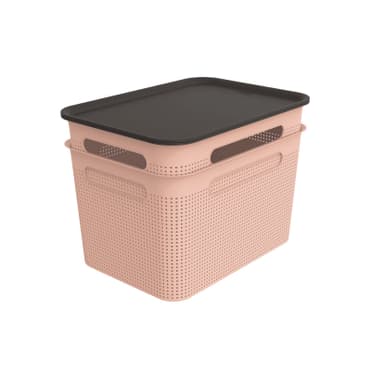 Rotho Brisen Panier à Linge 50L - Design Avec Troux Anthracite | Ventilation Optimale | Sans BPA