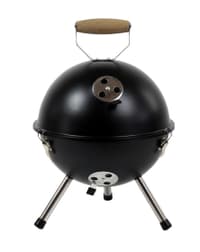 Sputnik