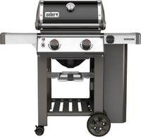 GENESIS II E-210 GBS 2 Brenner